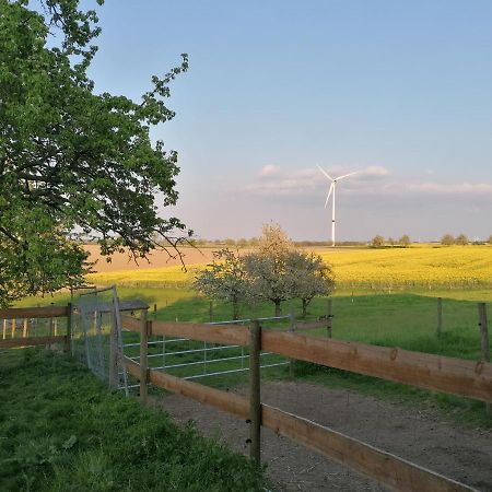 Sinnes Wandel Hof Serka Grimma Esterno foto