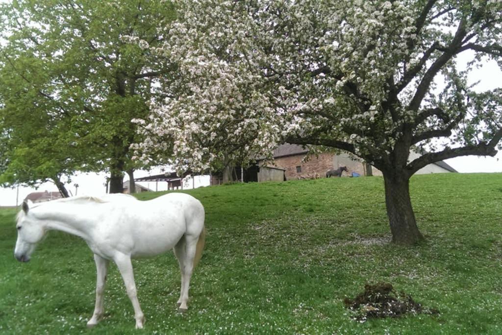 Sinnes Wandel Hof Serka Grimma Esterno foto