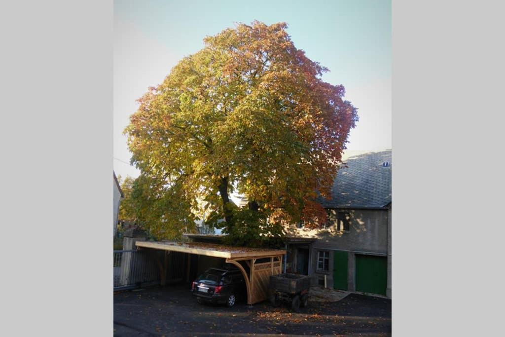 Sinnes Wandel Hof Serka Grimma Esterno foto