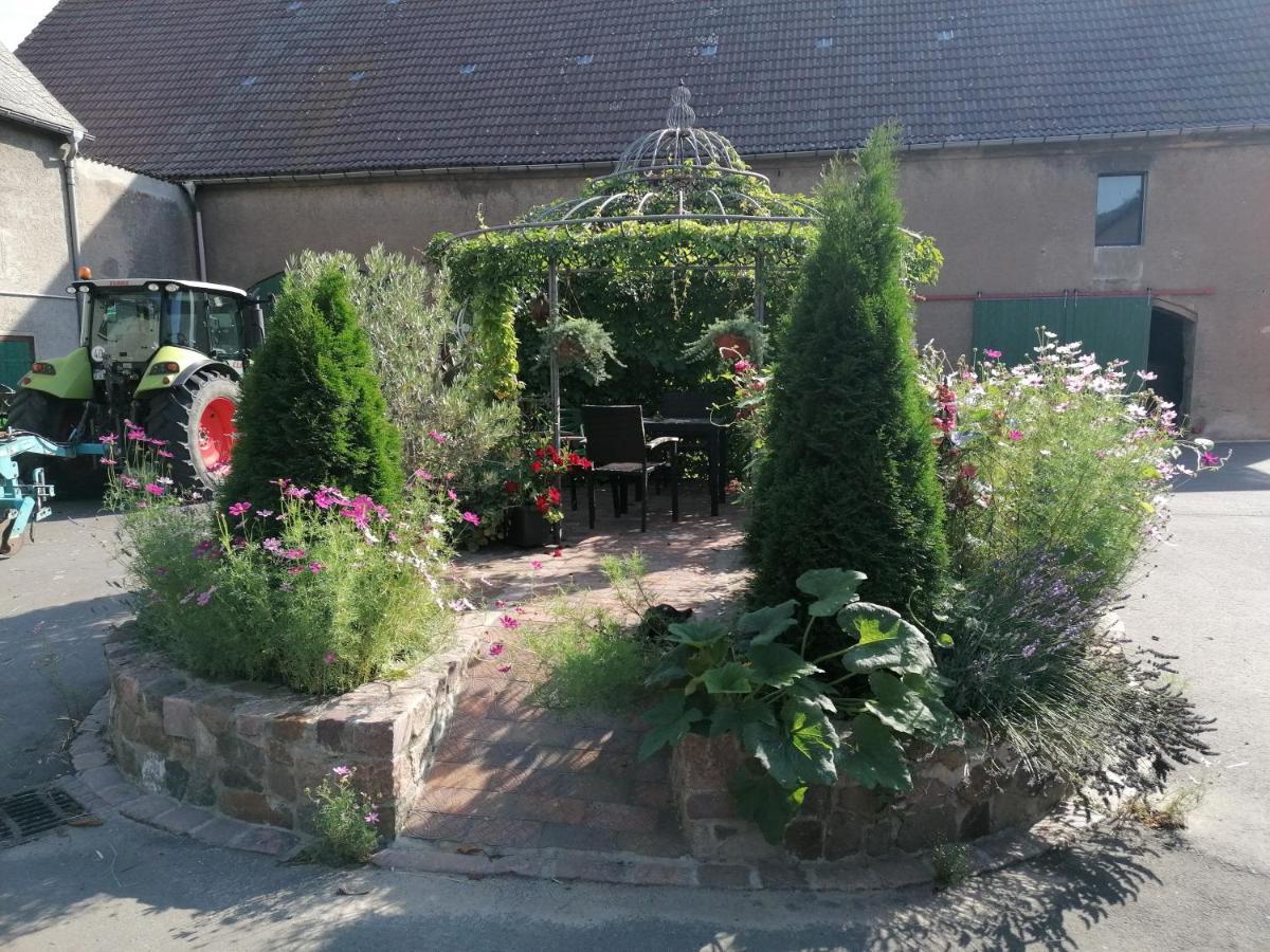 Sinnes Wandel Hof Serka Grimma Esterno foto